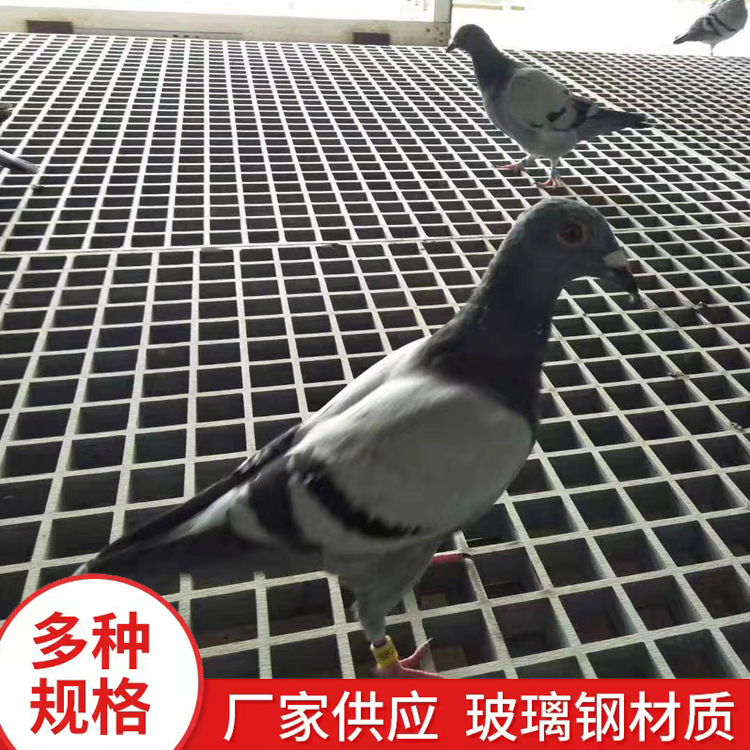 鸽舍养殖格栅