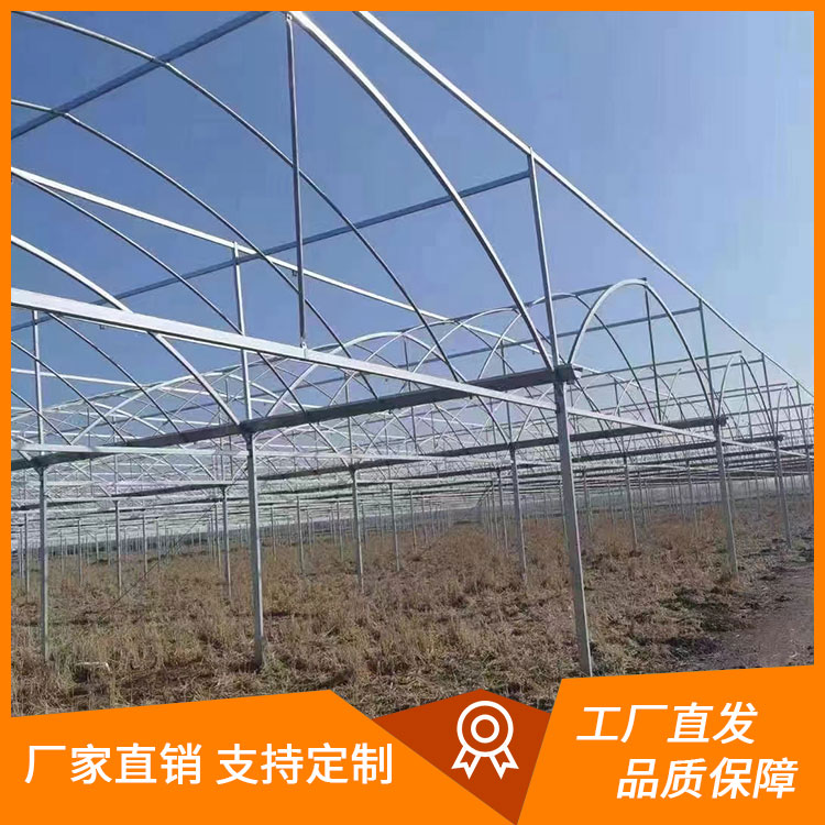 连栋大棚