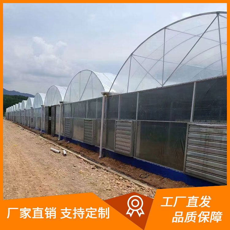连栋大棚