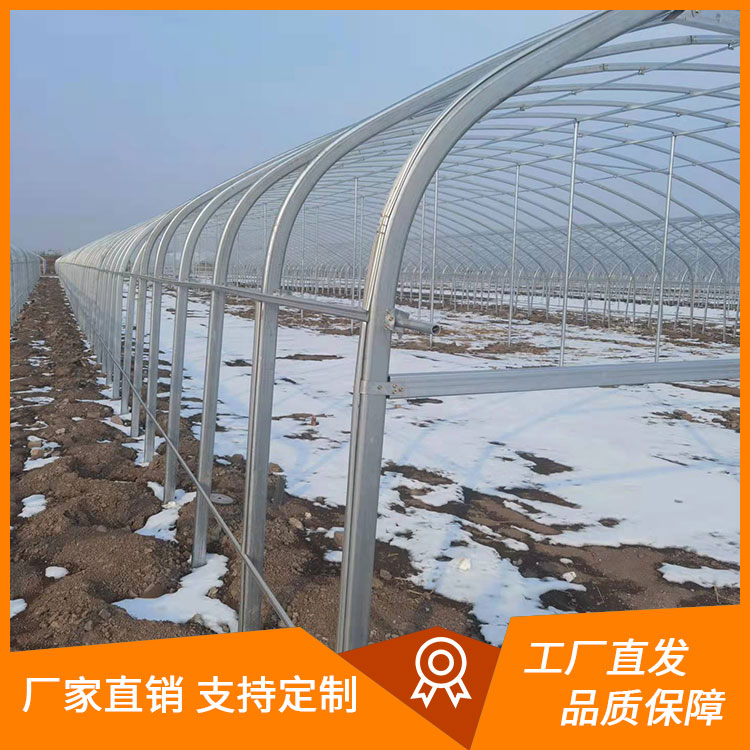 双层梁温室大棚骨架