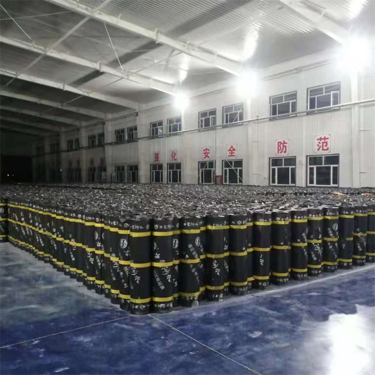 防水卷材 防水卷材 建筑防水材料