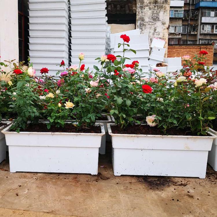 高架桥花盆