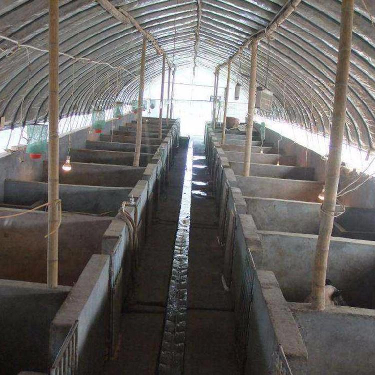 Poultry shed