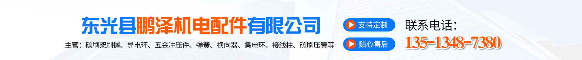 Dongguang Pengze Electrical Machinery Parts Co., Ltd.