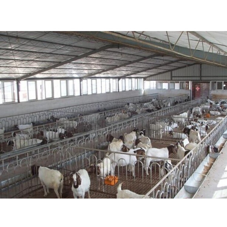 养猪场供暖系统