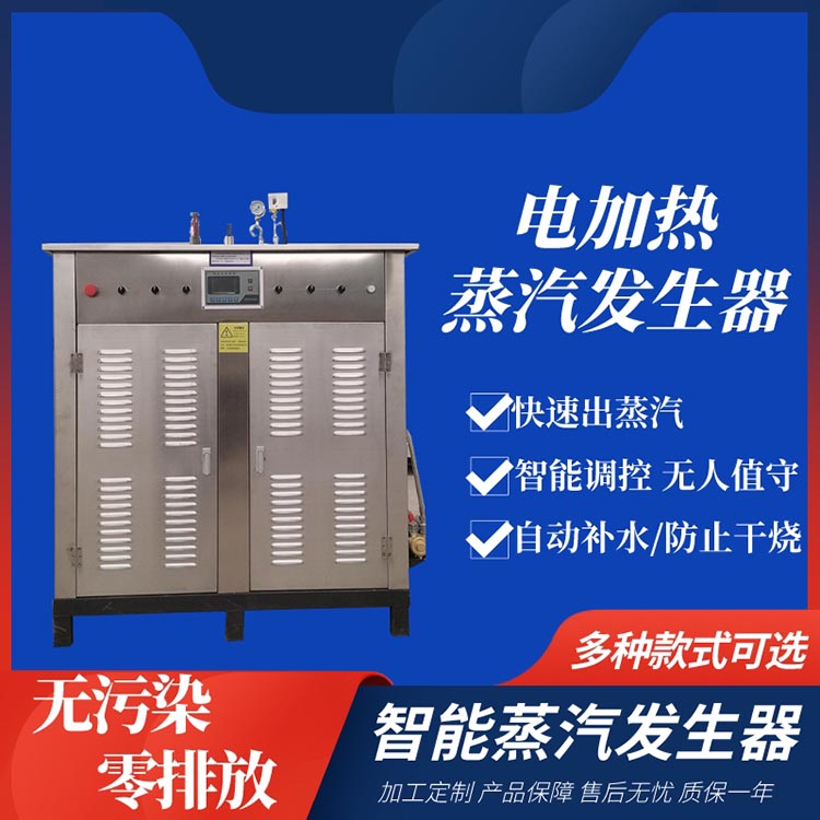 小型电加热蒸汽发生器