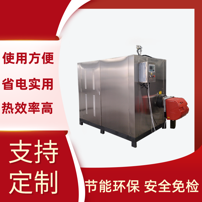 多功能全自动燃气锅炉