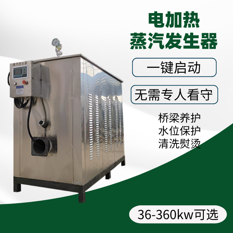 多功能电加热蒸汽机