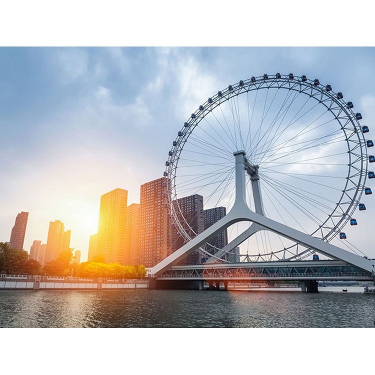 探索数字化生态城的奥秘