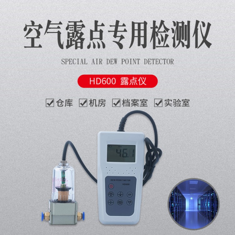 气体露点温湿度表HD600  压缩管道气体水分仪
