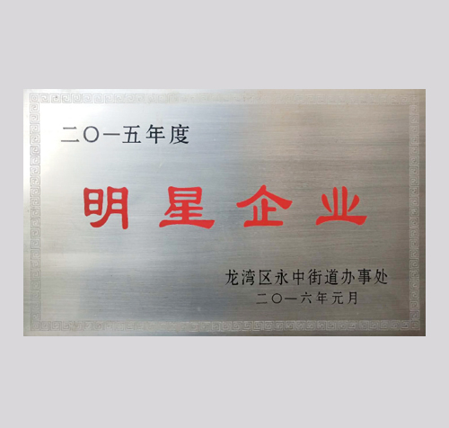 2015年度明星企业