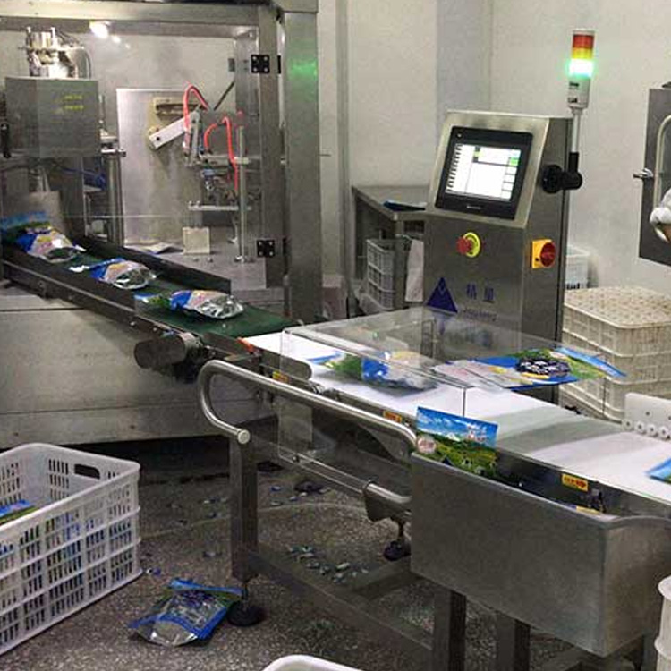 袋装零食行业称重应用案例