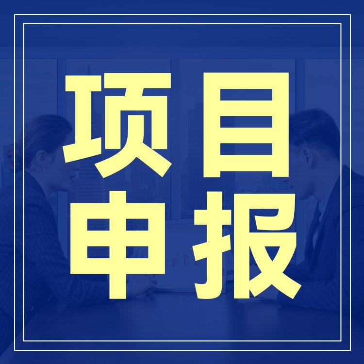 江苏项目申报代办服务,资质代办项目申报,