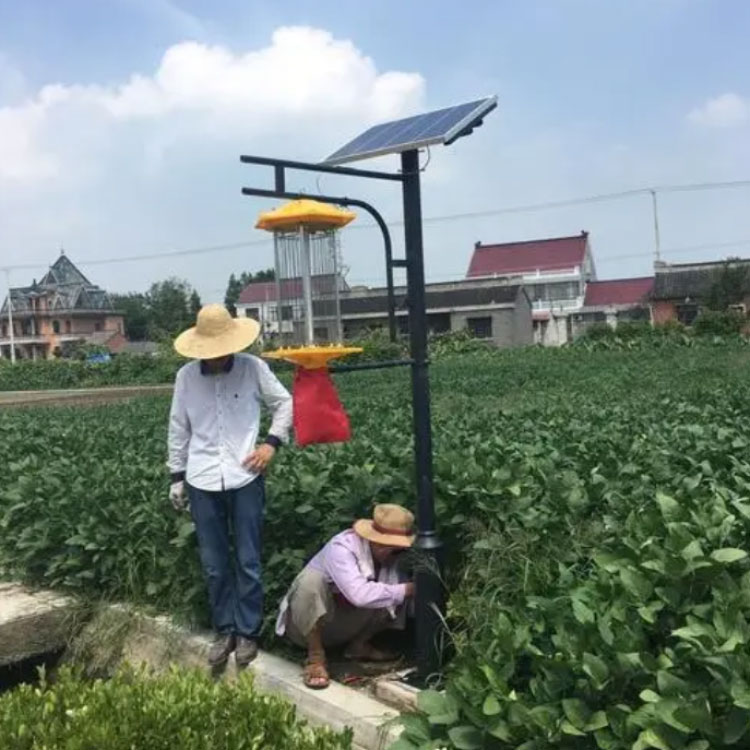 太阳能杀虫灯