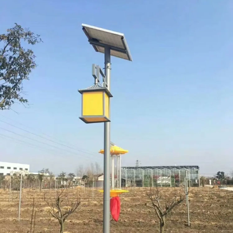 太阳能杀虫灯