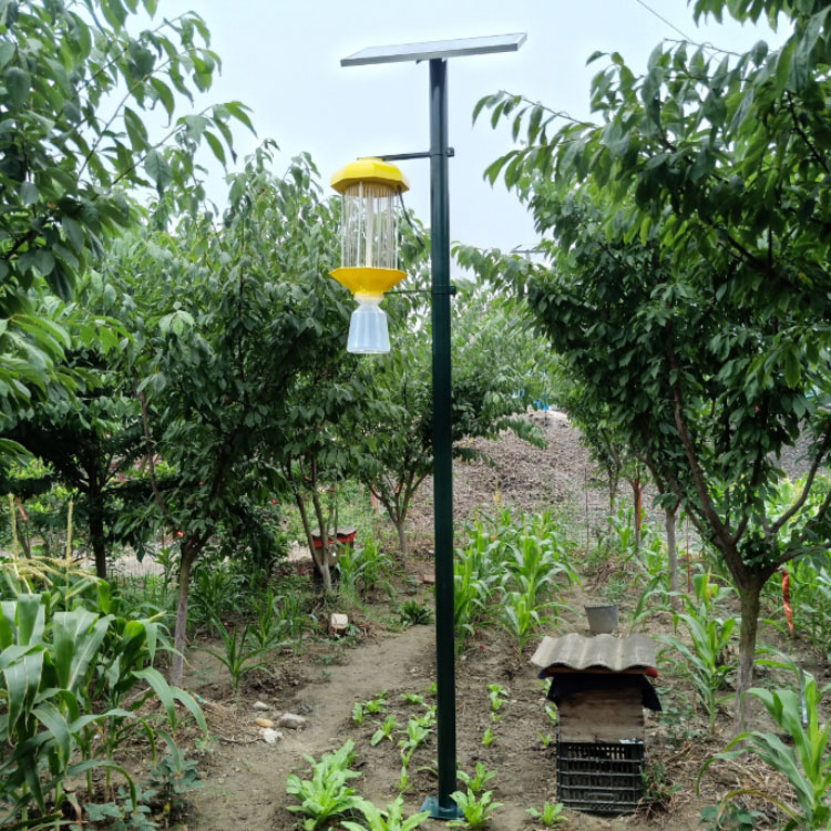 太阳能杀虫灯