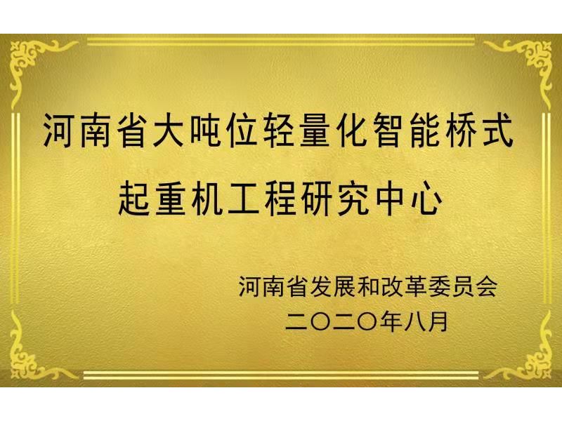 河南省大吨位轻量化智能桥式起重机工程