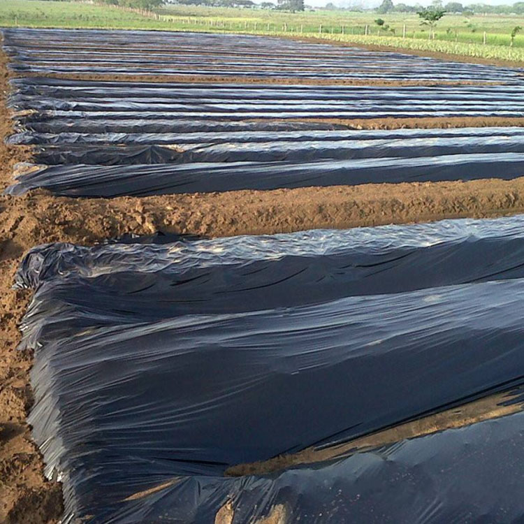 厂家直销全新料PE纯黑色农用薄膜打孔地膜塑料膜