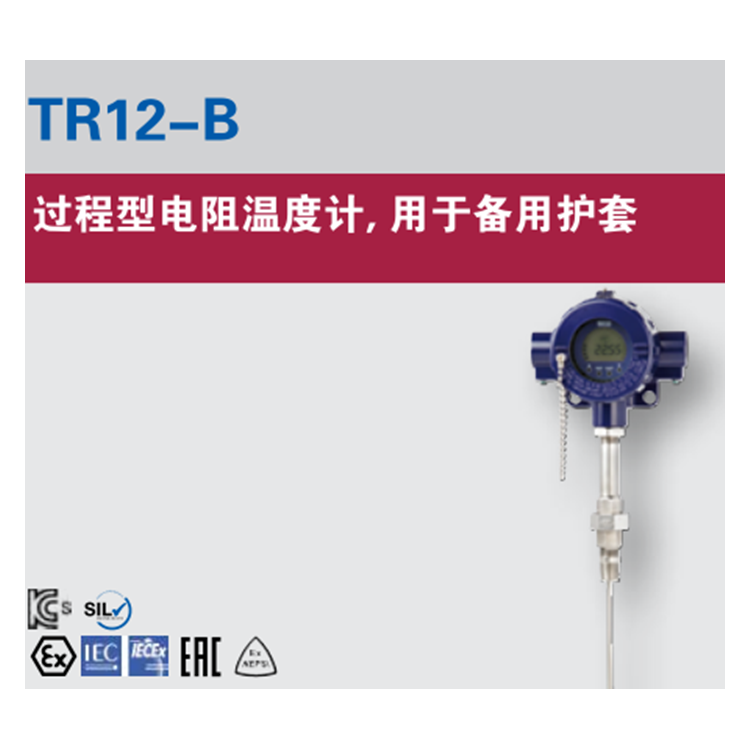 变压器温度计 威卡WIKA 热电阻温度计 TR12-B