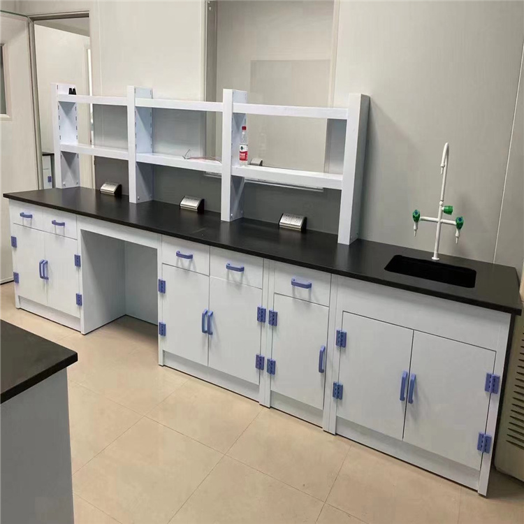 Laboratory Renovation PP Edge Desk, Factory Custom Laboratory Bench, Fume Hood, Steel and Wood Material