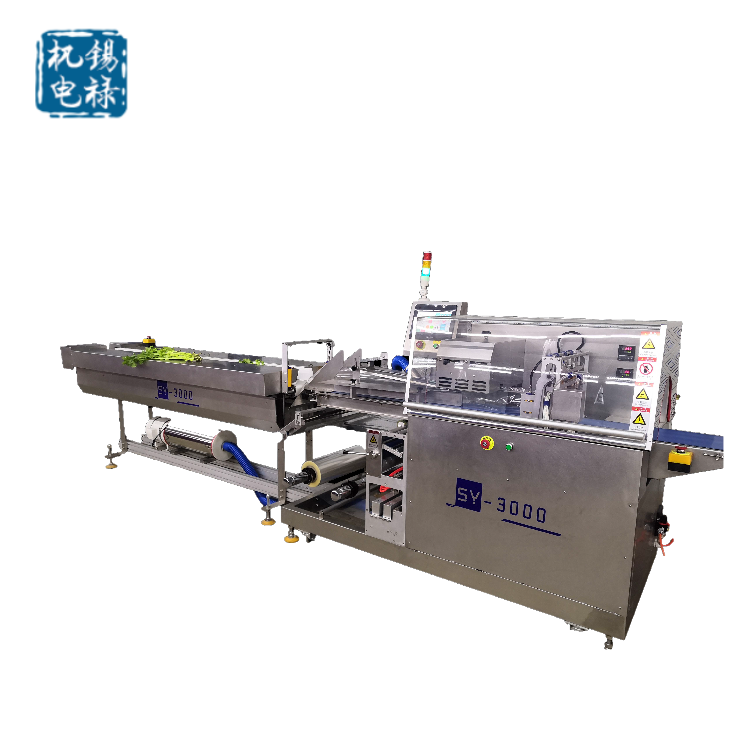 自动测长全伺服蔬菜枕式包装机