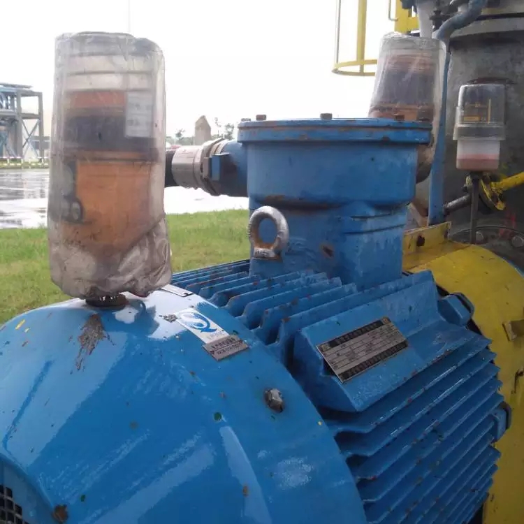 EX125高压防爆电机用自动注油器 数码自动加脂器