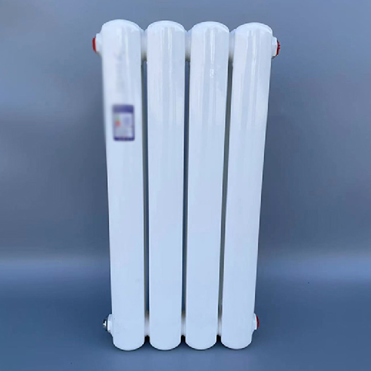 Steel double column radiator