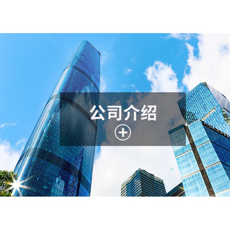 公司介绍