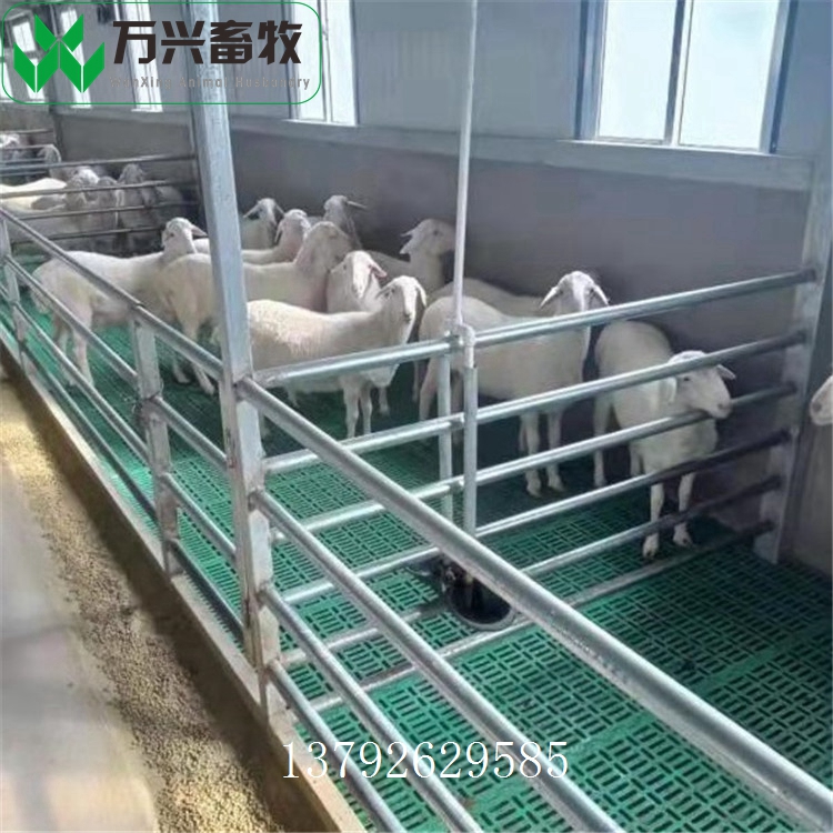 养羊漏缝地板 羊床漏粪板安装 绿色羊用粪板