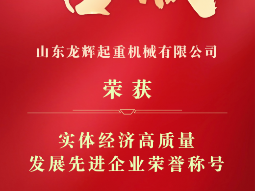 喜报 | 龙辉起重荣获新泰市“实体经济高质量发展先进企业”荣誉称号