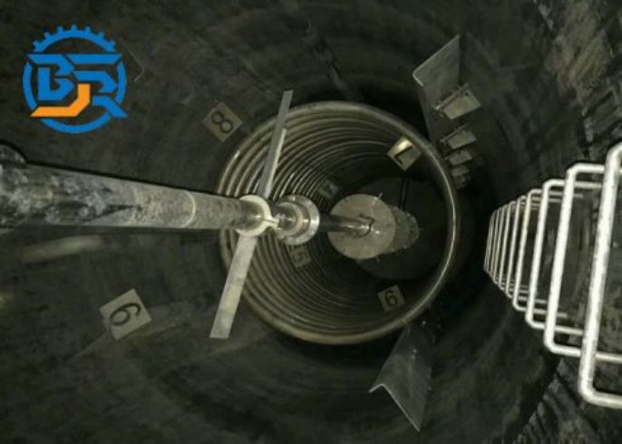 柏嘉润 直叶桨式搅拌器 非标设计 机器设计紧凑合理