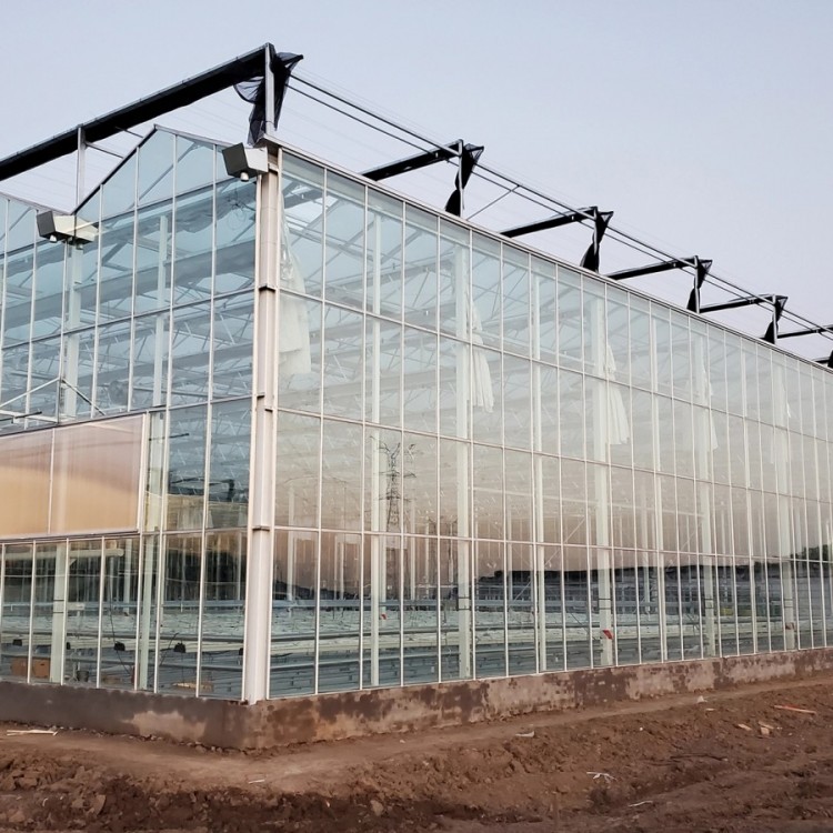 滁州玻璃智能温室大棚建造厂家温室大棚安装调试