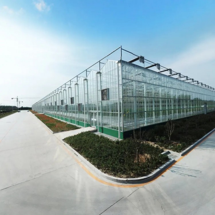 亳州玻璃智能温室大棚建造厂家温室大棚安装调试