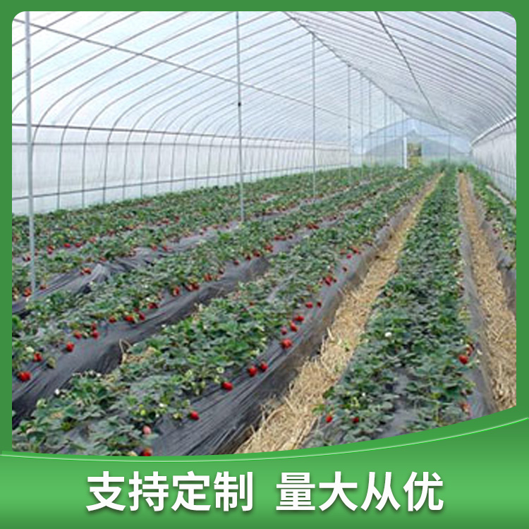草莓大棚 蔬菜大棚 高翔金属制品厂家生产供应