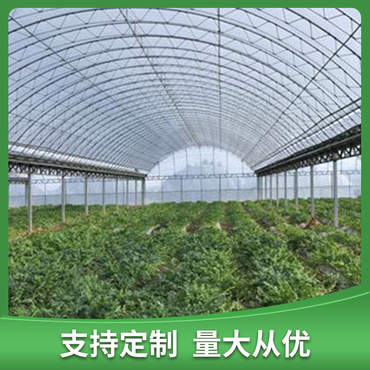 草莓大棚  高翔金属制品温室大棚厂家生产供应