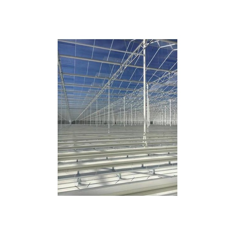 泰州玻璃智能温室大棚建造厂家温室大棚安装调试