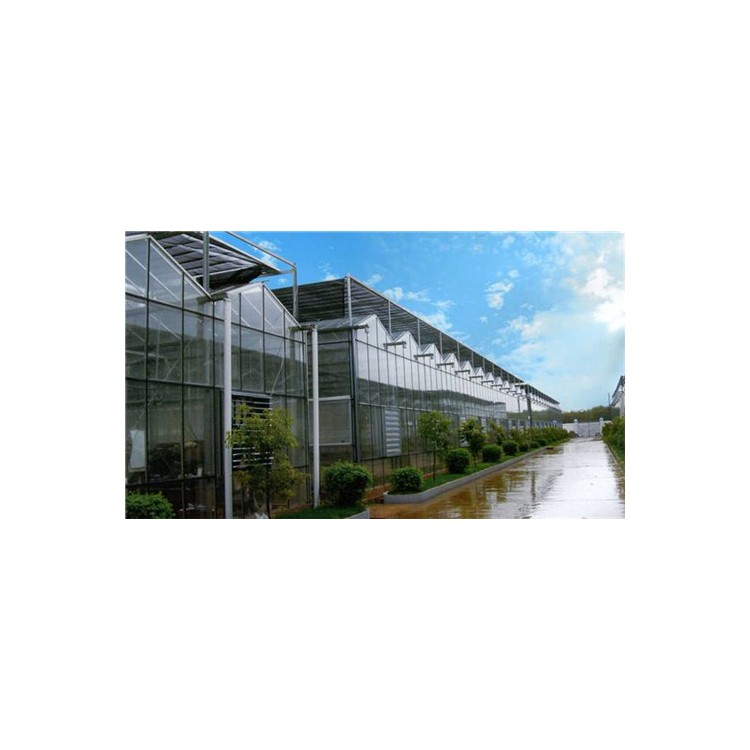 湖州玻璃智能温室大棚建造厂家温室大棚安装调试
