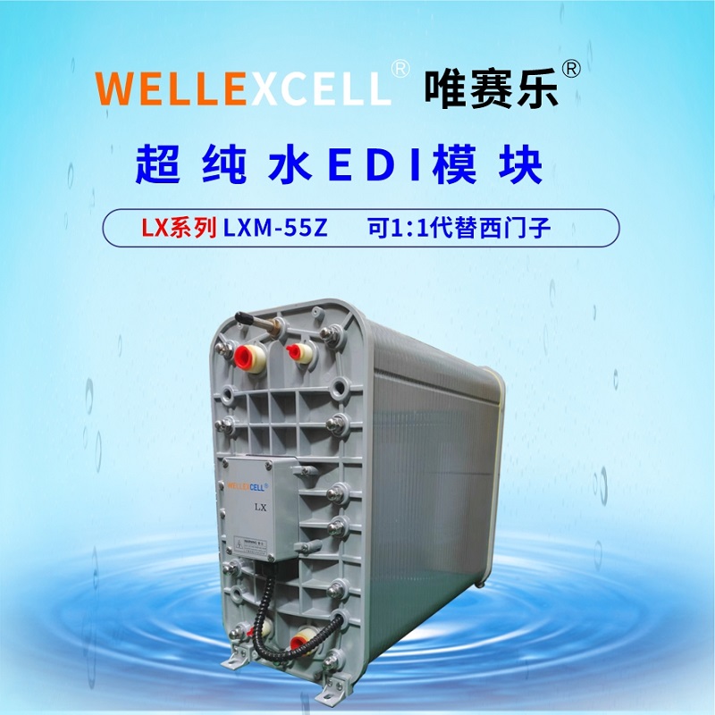 WELLEXCELL唯赛乐LXM55Z超纯水处理电除盐膜堆