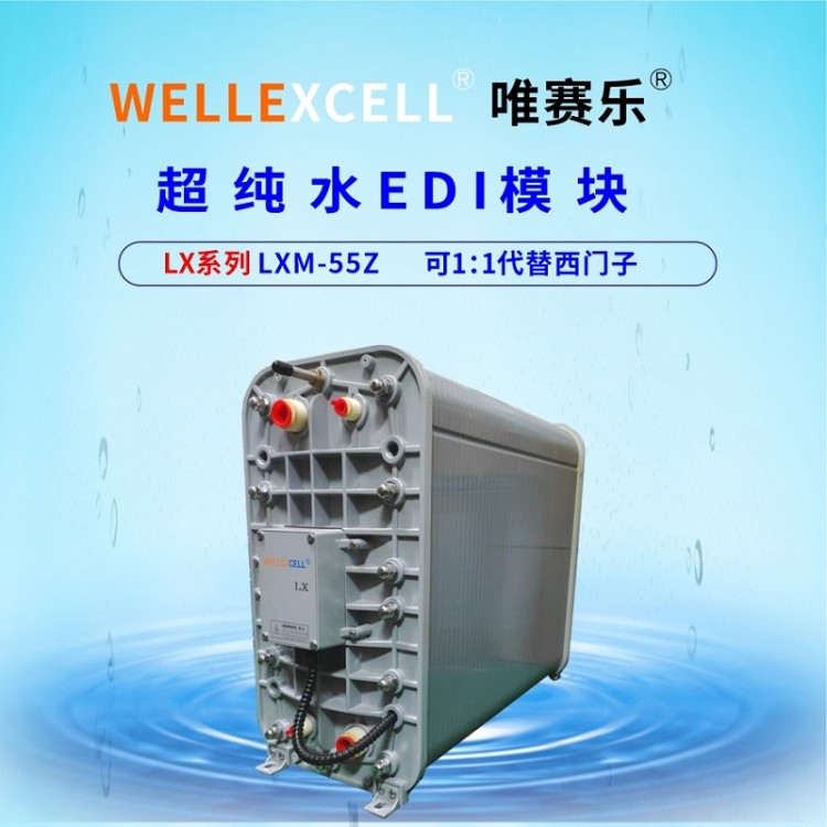 WELLEXCELL唯赛乐LXM55Z超纯水处理电除盐膜堆