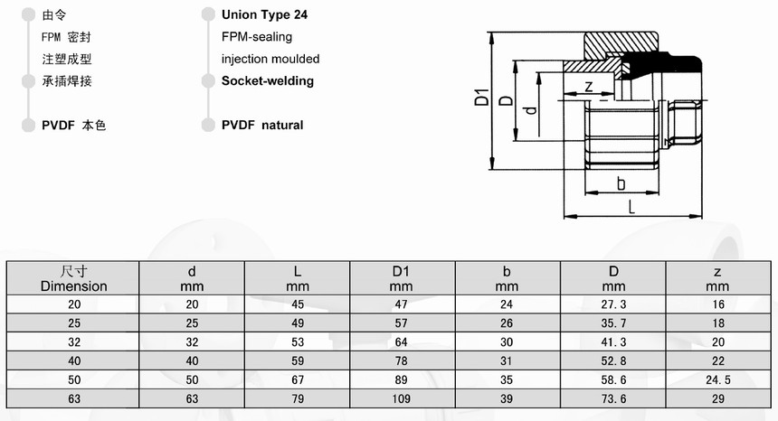 PVDF 活接 承插.jpg