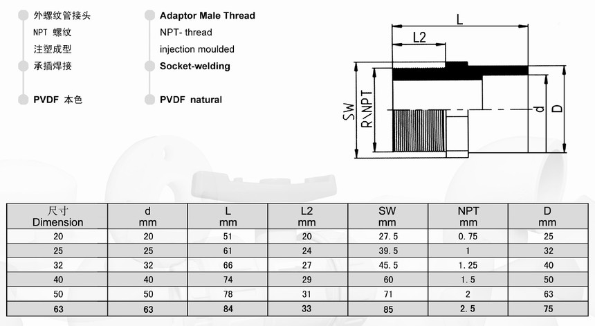 PVDF 外螺纹管接头 承插.jpg