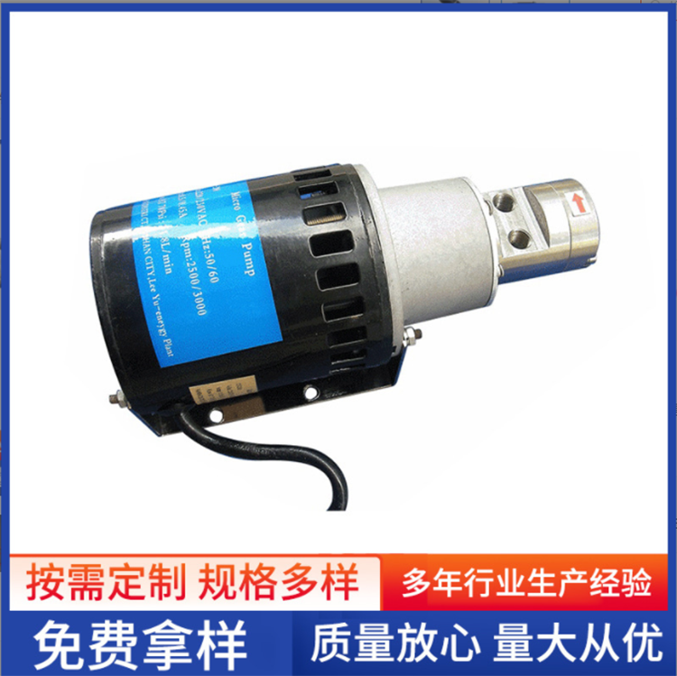 微型齿轮泵