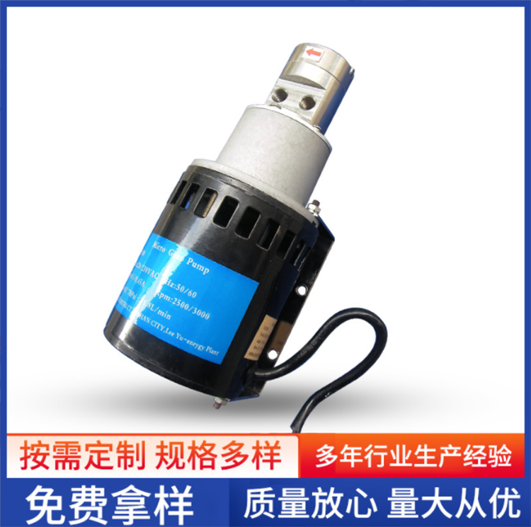 微型齿轮泵