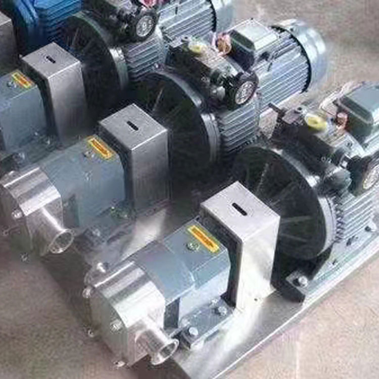 3-2RP凸轮转子泵