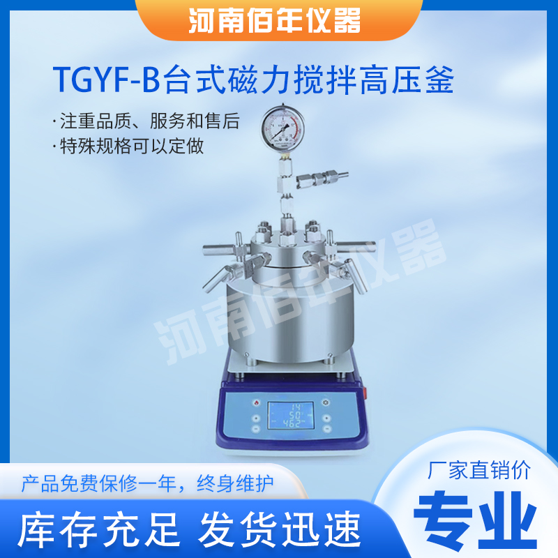 TGYF-B台式磁力搅拌高压釜