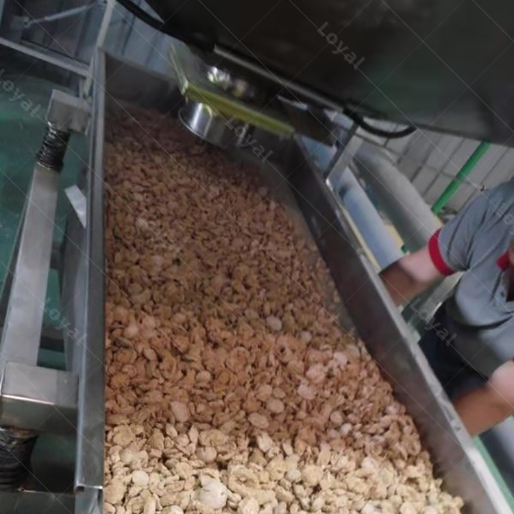 变性淀粉生产项目