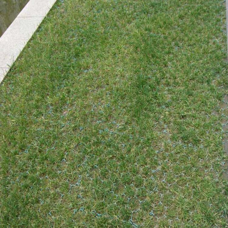 植草格施工案例