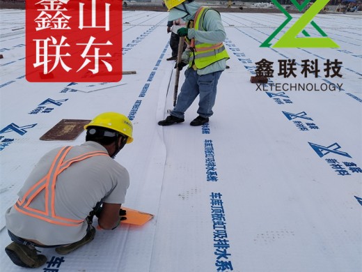 海绵城市零坡度车库顶板虹吸排水板 防护排水异型片