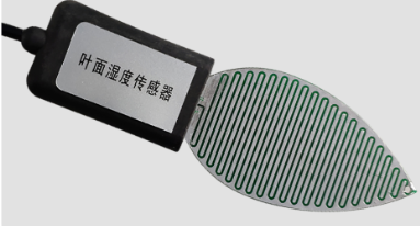 FM-YMS型叶面湿度传感器