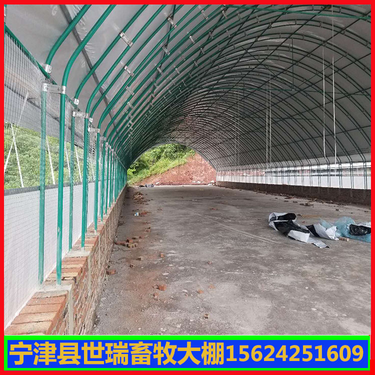 养殖鸡棚施工 鸡舍大棚建设材料 蛋鸡养殖大棚安装厂家